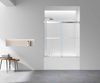 Frameless Roller Double Sliding Door - (BL)